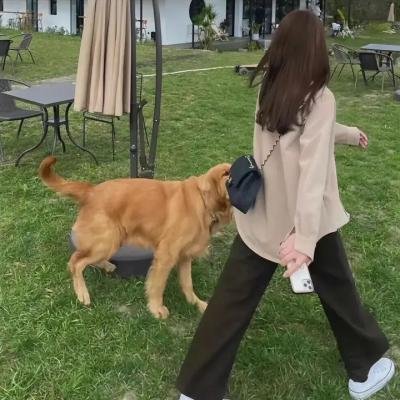 悬疑作者求生指南